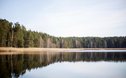 34_Juodlės takas (1).jpg